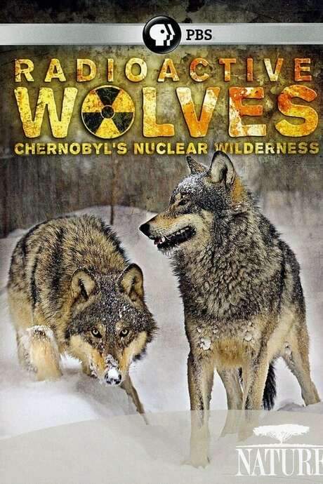 Radioactive Wolves: Chernobyl’s Nuclear Wilderness